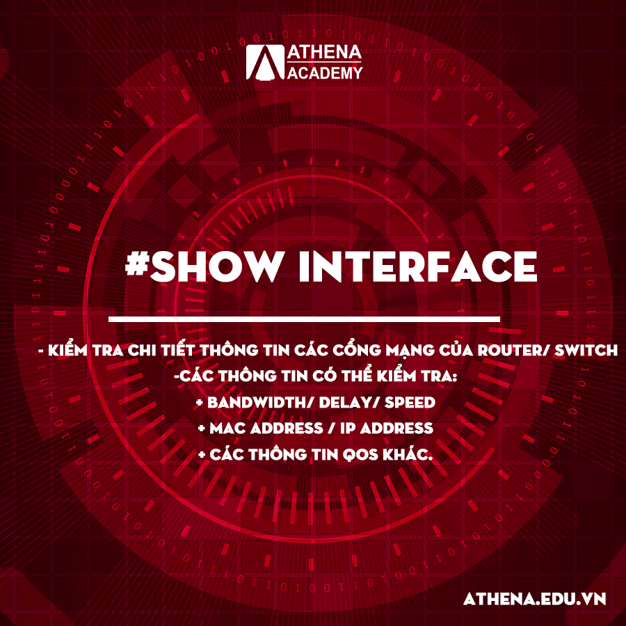 show interface