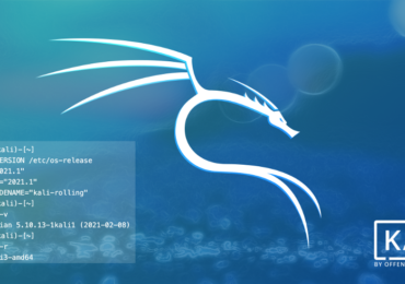 KALI LINUX CHÍNH THỨC PHÁT HÀNH PHIÊN BẢN ĐẦU TIÊN NĂM 2021